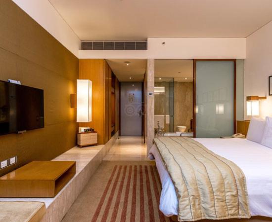 Hotel Plaza International Near Delhi Airport New Delhi Exterior photo