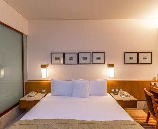 Hotel Plaza International Near Delhi Airport New Delhi Exterior photo